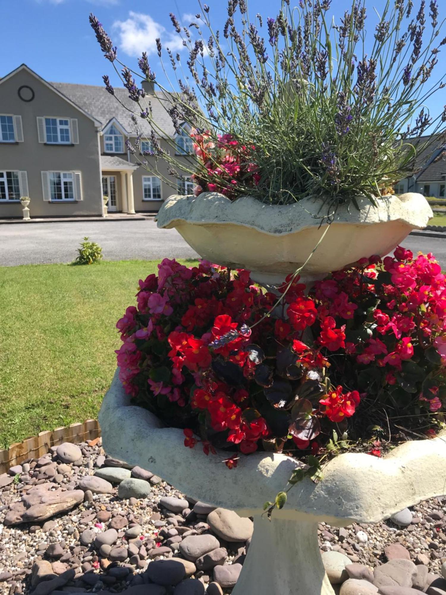 Kielty'S Of Kerry Bed And Breakfast Waterville Exterior foto